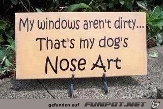 Dogs 11 Dogs 11