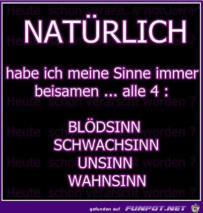 die geilsten 4 Sinne die geilsten 4 Sinne