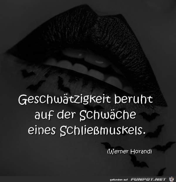 geschwaetzigkeit geschwaetzigkeit