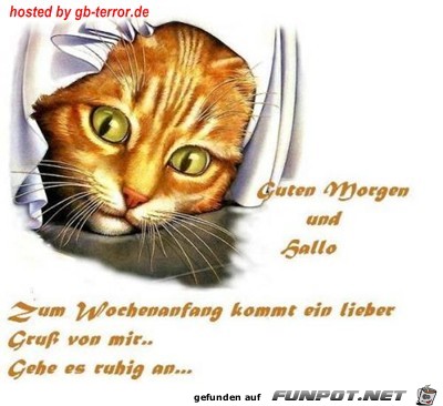 Guten Morgen und Hallo Guten Morgen und Hallo