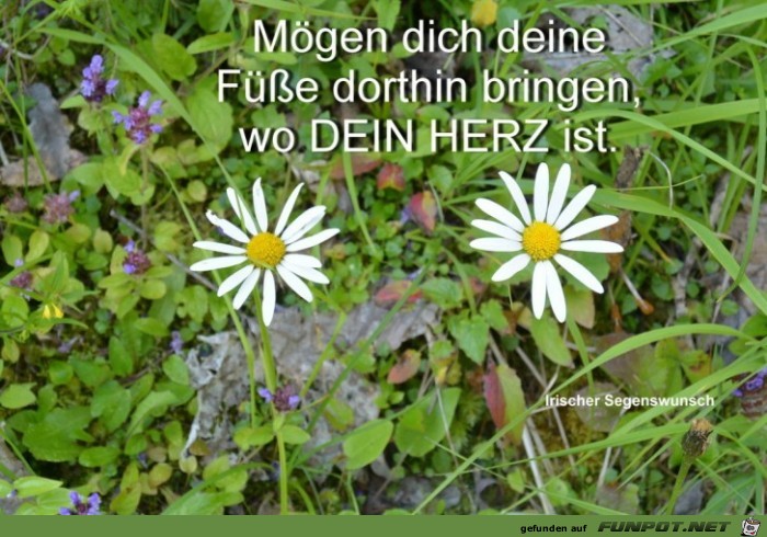 Moegen dich deine Fuesse FILEminimizer Moegen dich deine Fuesse FILEminimizer
