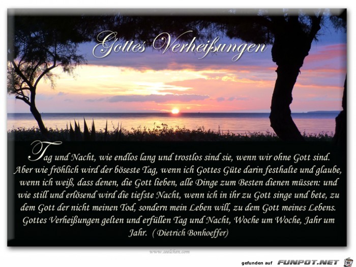 Gottes Verheissungen