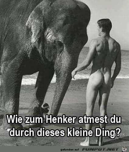 kleines Ding kleines Ding