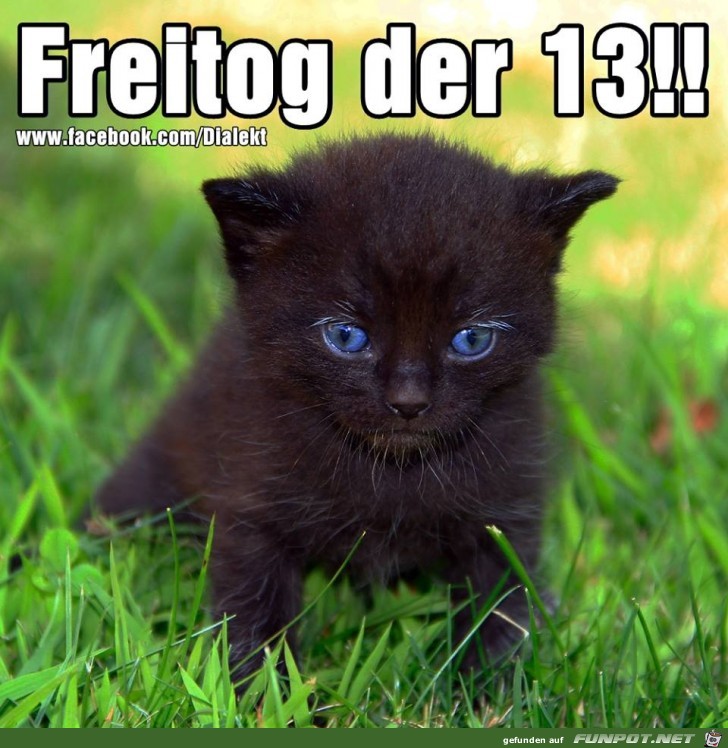 Freitog der 13 