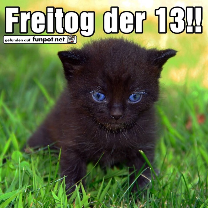 Freitog der 13 