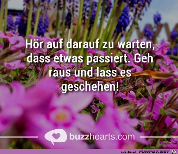geh raus geh raus