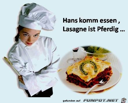 Pferdefleisch in Lasagne - erschreckende Bilder :-)