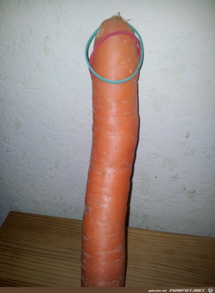 eine sehr lange Möhre - Kartotte eine sehr lange Möhre - Kartotte
