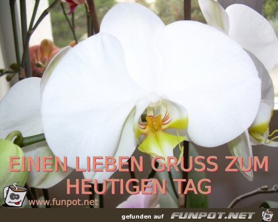 EINEN LIEBEN GRUSS ZUM HEUTIGEN TAG EINEN LIEBEN GRUSS ZUM HEUTIGEN TAG