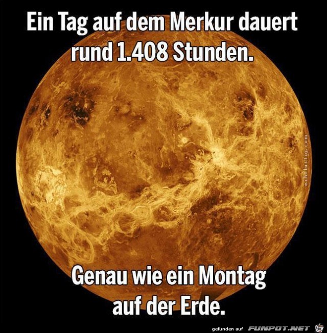 Montag 2