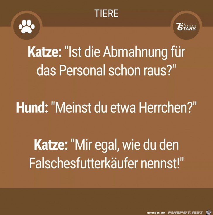 katze . hund katze . hund