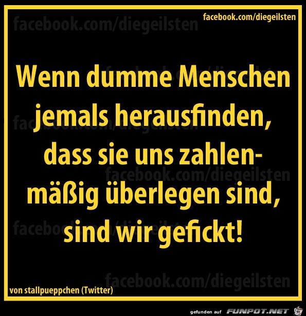diegeilsten dumme Menschen diegeilsten dumme Menschen