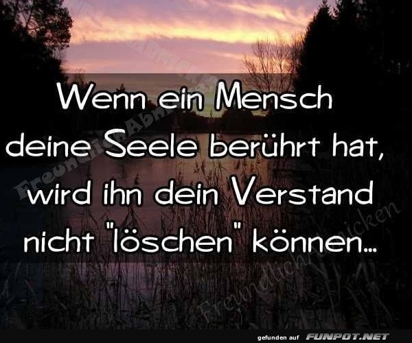 10 schne Sprche und Lebensweisheiten aus...