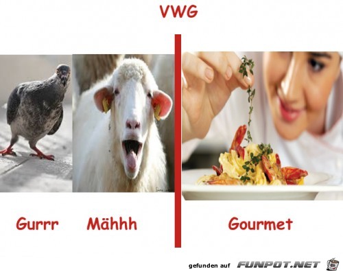 Gourmet Gourmet