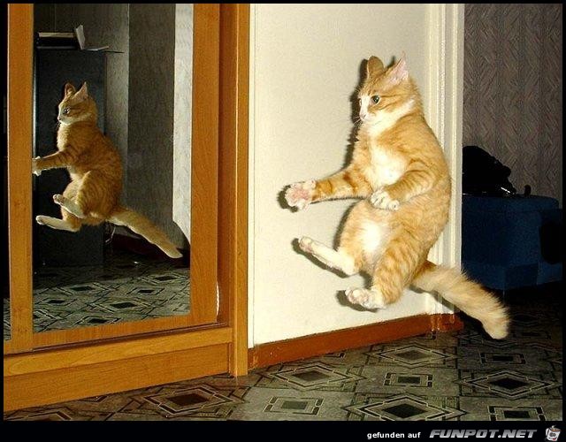 spiegelbild-erschrocken spiegelbild-erschrocken