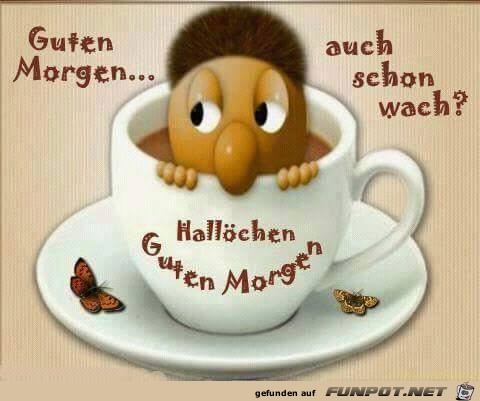 Auch schon wach Auch schon wach
