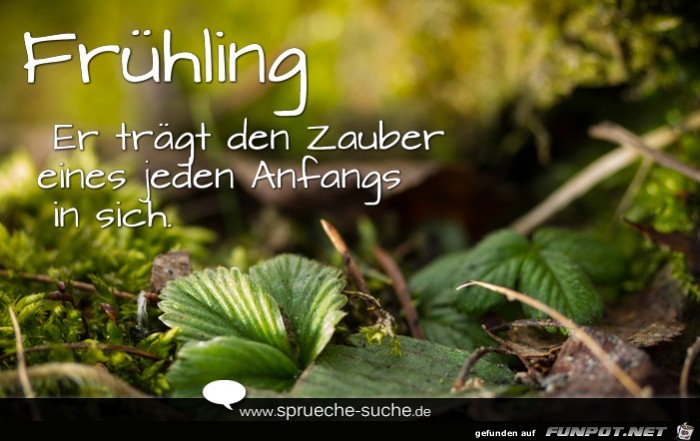 -er-traegt-den-zauber-eines-jeden-anfangs-in-sich -er-traegt-den-zauber-eines-jeden-anfangs-in-sich
