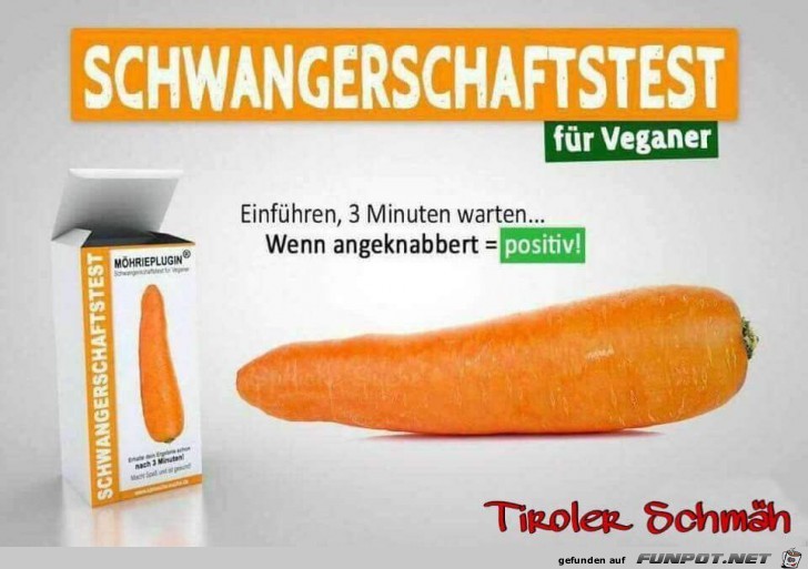 schwangerschaftstest schwangerschaftstest
