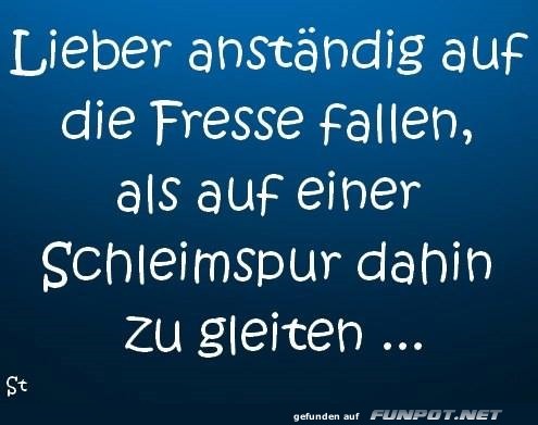 auf die fresse auf die fresse