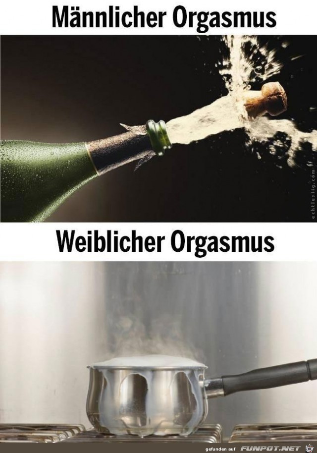 Orgasmus Orgasmus