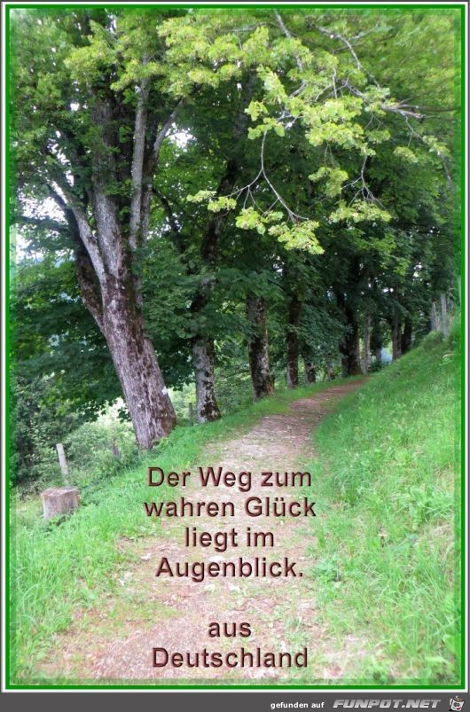 der weg zum