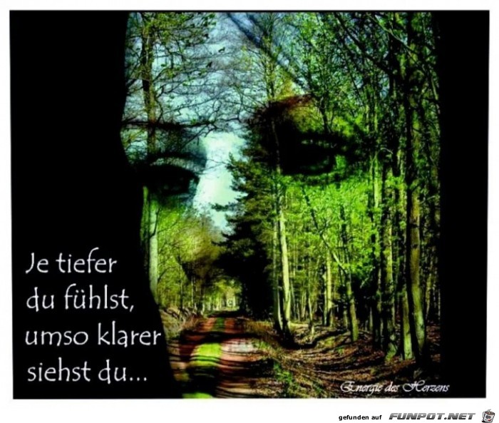 je tiefer du fuehlst je tiefer du fuehlst