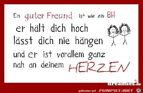 Ein guter Freund ist wie ein BH