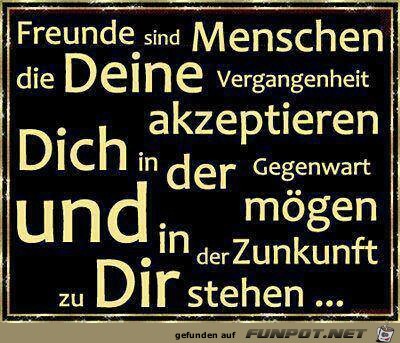 Freunde Freunde