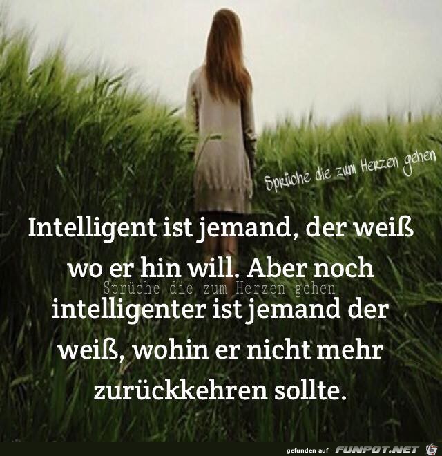 Intelligent ist jemand