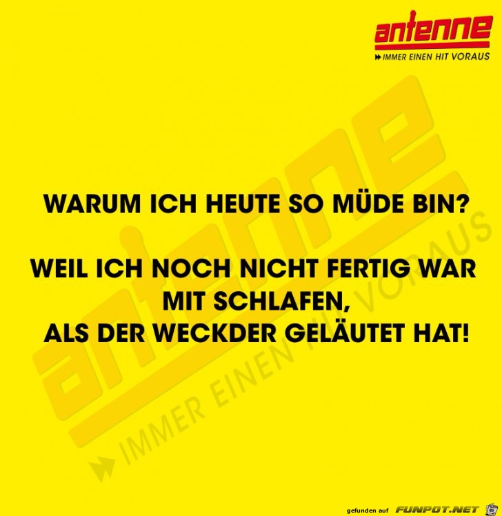 Warum ich Heute Warum ich Heute