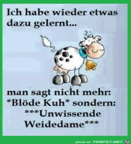 Bloede Kuh Bloede Kuh