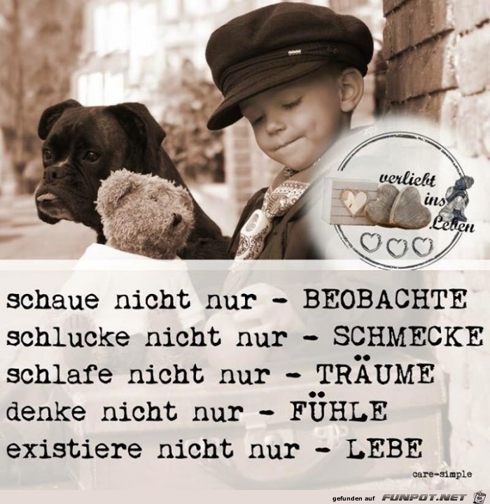 lebe