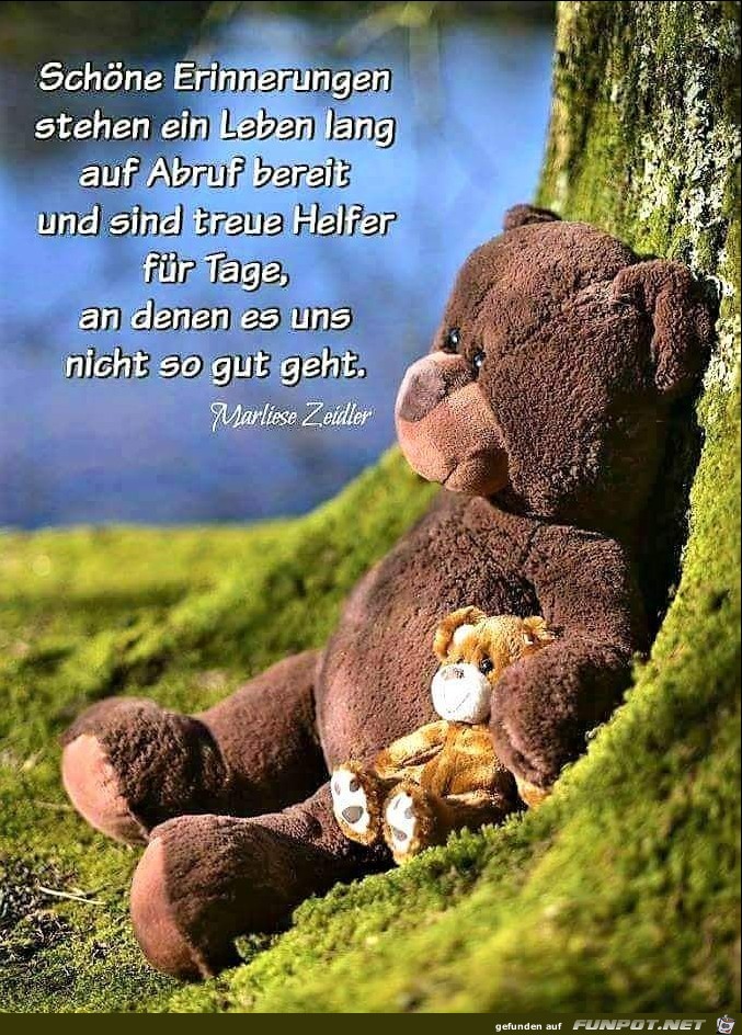 Schöne Erinnerungen Schöne Erinnerungen