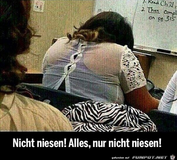 witzige Bilder aus verschiedenen Blogs