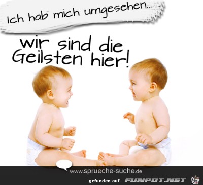 coole-sprueche-babys-ich-hab-mich-umgesehen -wir-sind-die-