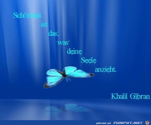 Schoenheit Schoenheit