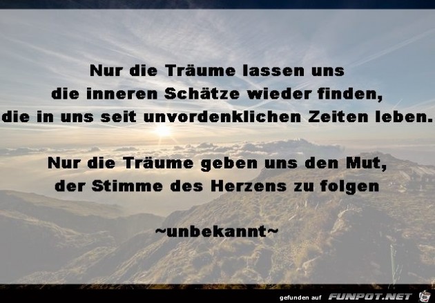 NUR DIE TRAeUME