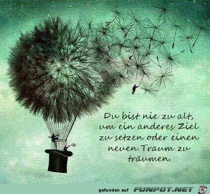 zu alt zu alt