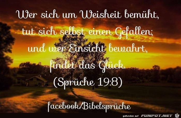 sprueche 19 8 sprueche 19 8