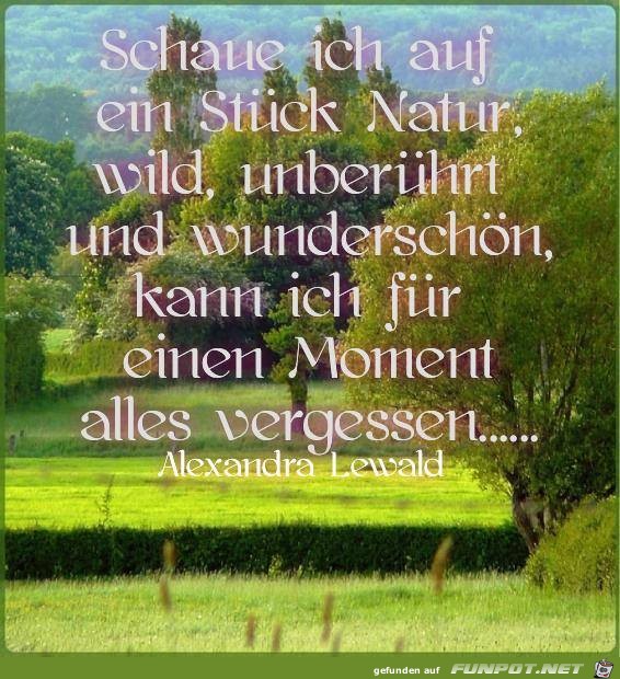 Schaue ich auf ein Stueck Natur Schaue ich auf ein Stueck Natur