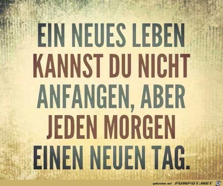 NEUES LEBEN NEUES LEBEN