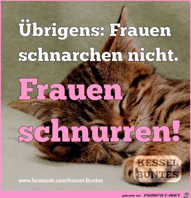 schnurren schnurren