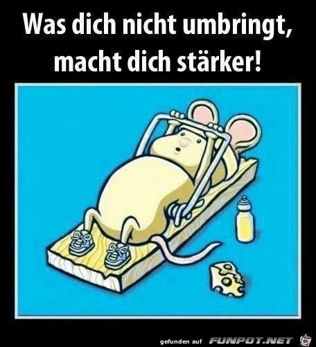 Was Dich nicht umbringt...