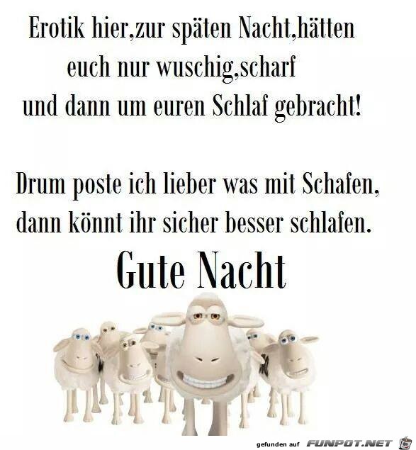 gute nacht