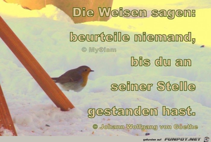 die Weisen die Weisen