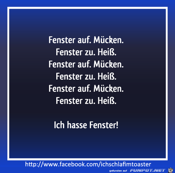 Fenster Fenster