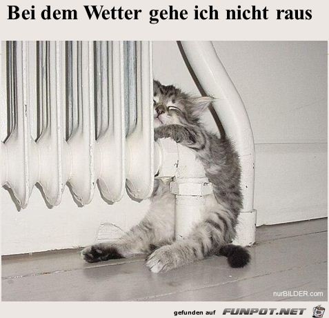 bei dem Wetter gehe ich nicht raus bei dem Wetter gehe ich nicht raus