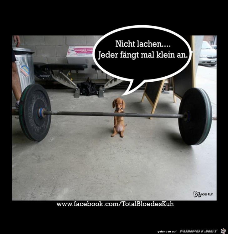 Nicht lachen Nicht lachen