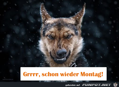 Montag