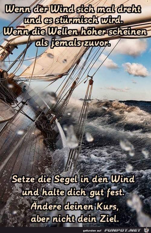 wind wind
